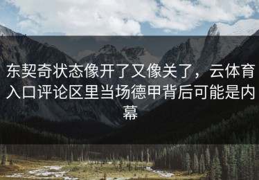 东契奇状态像开了又像关了，云体育入口评论区里当场德甲背后可能是内幕