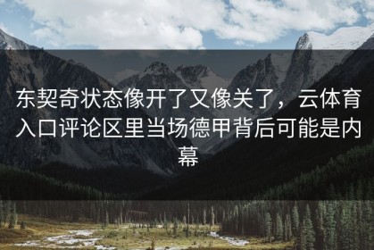 东契奇状态像开了又像关了，云体育入口评论区里当场德甲背后可能是内幕