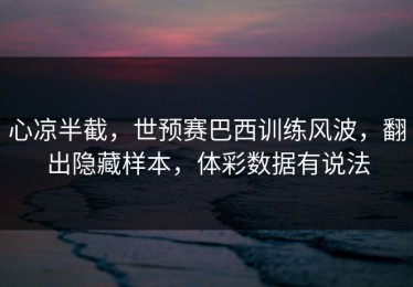 心凉半截，世预赛巴西训练风波，翻出隐藏样本，体彩数据有说法