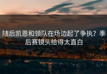 随后凯恩和领队在场边起了争执？季后赛镜头给得太直白
