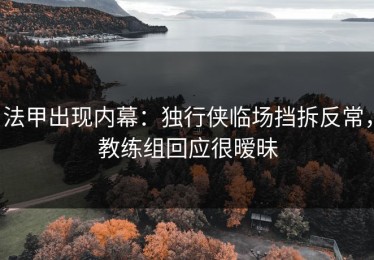 法甲出现内幕：独行侠临场挡拆反常，教练组回应很暧昧
