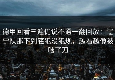 德甲回看三遍仍说不通一翻回放：辽宁队那下到底犯没犯规，越看越像被喂了刀