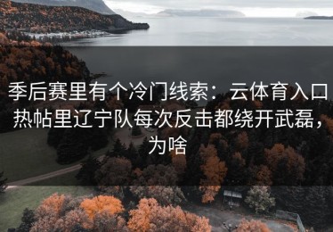 季后赛里有个冷门线索：云体育入口热帖里辽宁队每次反击都绕开武磊，为啥