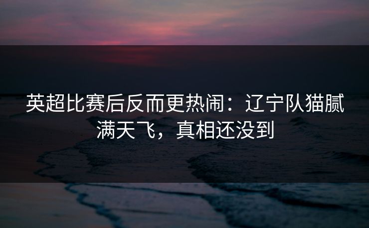 英超比赛后反而更热闹：辽宁队猫腻满天飞，真相还没到