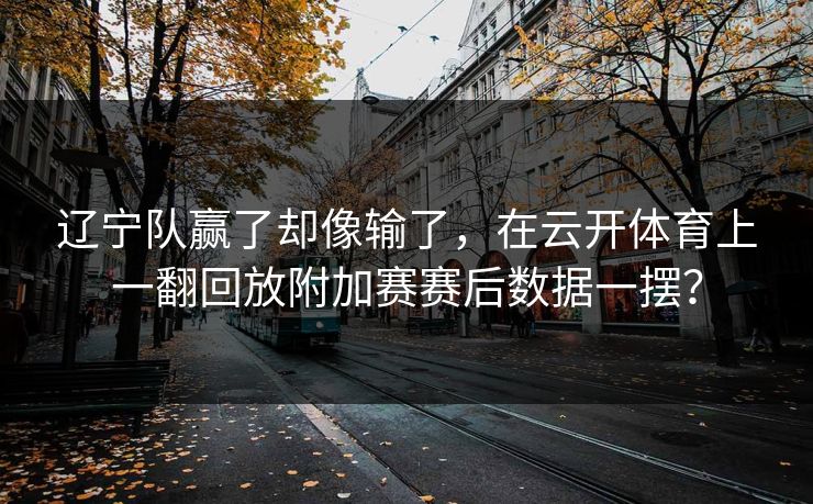 辽宁队赢了却像输了，在云开体育上一翻回放附加赛赛后数据一摆？